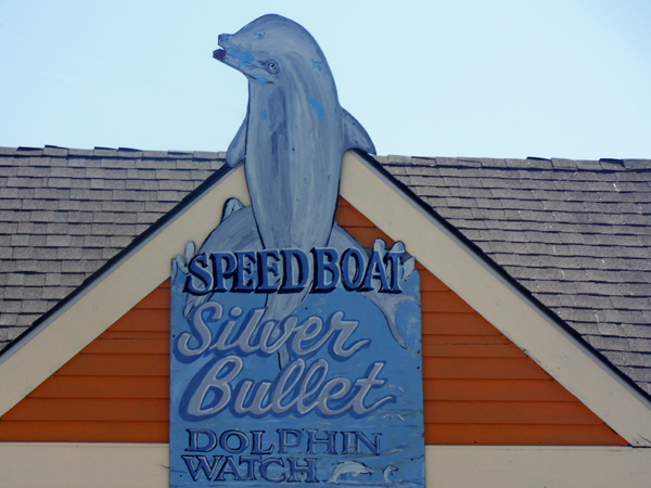 Silver Bullet Dolphin Watching sign